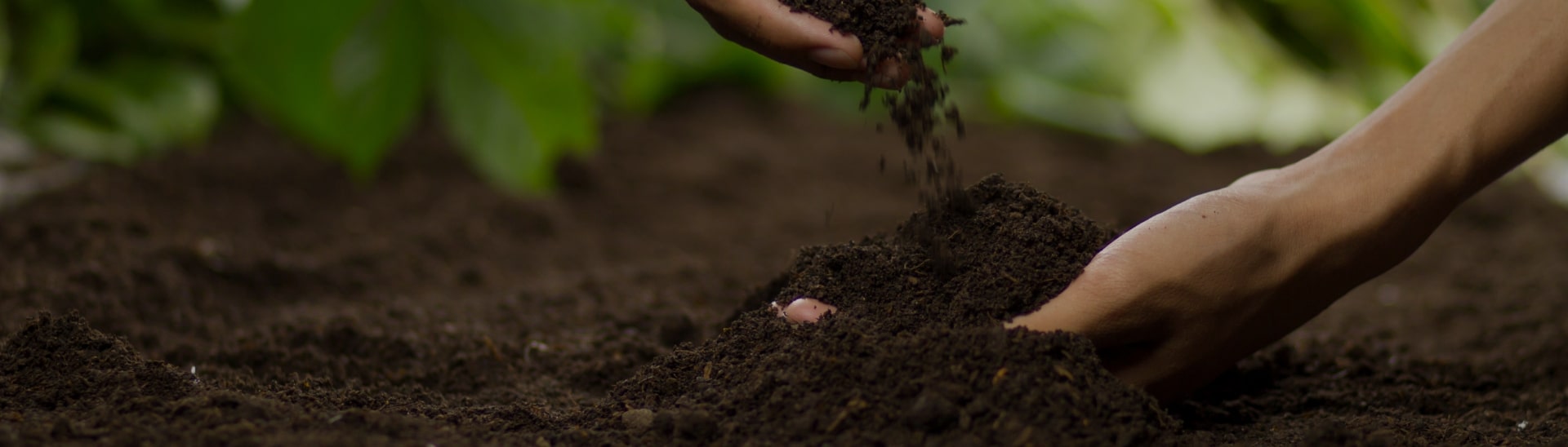 Soil health