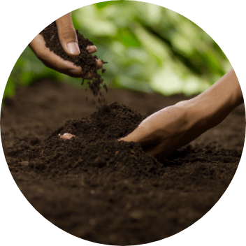 Soil health